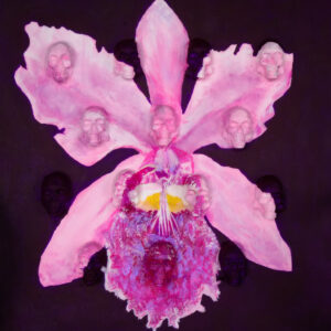 Orquídeas (5 unidades)